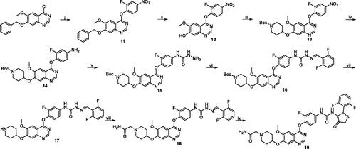 Scheme 2. Synthesis of target compound 19. Reagents and conditions: (i) 2-fluoro-4-nitrophenol, PhCl, reflux, 14 h; (ii) 33% HBr in HOAc, rt, 3 h; (iii) 1-Boc-4-methanesulfonyloxypiperidine, Cs2CO3, DMF, 110 °C, 6 h; (iv) Fe, 90% EtOH-H2O, conc. HCl (cat.), reflux, 4 h; (v) (1) phenyl chloroformate, pyridine, CH2Cl2, rt, 2 h; (2) 50% hydrazine hydrate, xylene, 70 °C, 2 h; (vi) 2, 6-difluorobenzaldehyde, i-PrOH, HOAc (cat.), reflux, 3 h; (vii) CF3COOH, CH2Cl2, rt, 2 h; (viii) 2-chloroacetamide, Cs2CO3, DMF, 90 °C, 8 h; (ix) mercaptoacetic acid, SiCl4, CH2Cl2, reflux, 6 h.