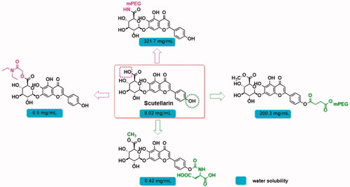 Figure 2. Modification of scutellarin.