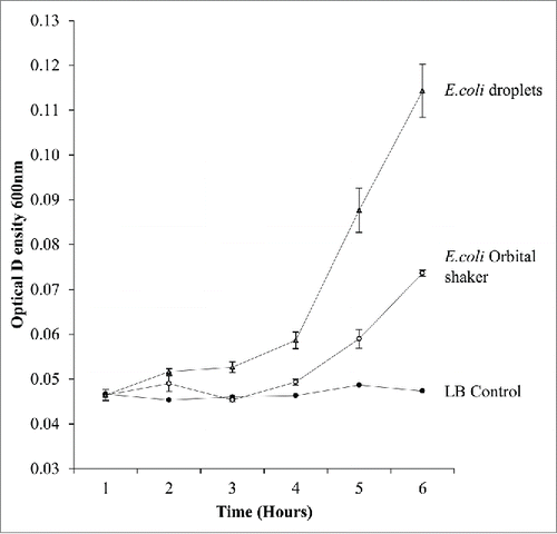 Figure 2. A graph comparing growth rates of traditional E.coli shaker flask culture with E.coli droplet cultures measured on a microplate reader. Droplet cultures show a higher growth rate than orbital shaker cultures.