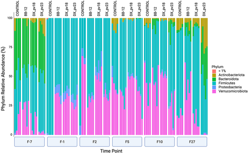 Figure 6. Bacterial composition of fecal mouse microbiota at phylum level for different groups and time points.