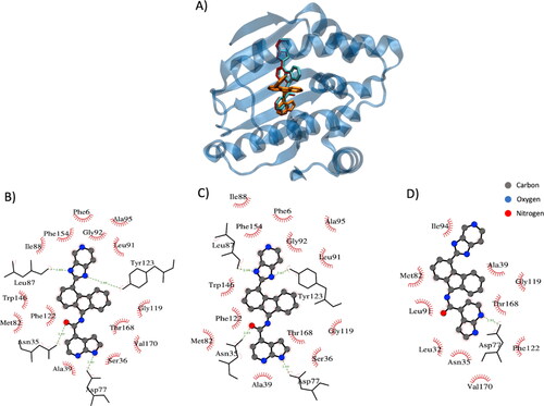 Figure 2. Example of docking result employing FRAD and BD methods (PDB: 2yki). (A) Protein is represented in blue, the ligand in the crystal structures in red, the ligand conformation generated with FRAD method in cyan (RMSD is 0.04 nm) and the ligand conformation generated with BD method in orange (RMSD is 1.55 nm). (B) Protein–ligand interactions in crystallized complex. (C) Protein–ligand interactions in the generated with FRAD method complex. (D) Protein–ligand interactions in the generated with BD method complex. Elements in figure (A), (B) and (C) are the conformation of the ligands, hydrogen bonds in green and hydrophobic residue names.