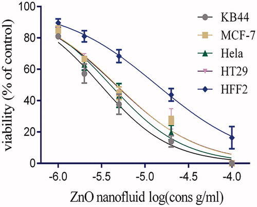 Figure 2. Cytotoxicity effects of ZnO nanofluid on KB44, MCF-7, HeLa, HT29 and normal human foreskin fibroblast (HFF-2) cells treated with various concentrations during 48 h. As shown in the graph, ZnO nanofluid growth inhibition works in significantly lower concentrations in all cancer cell lines compared to normal cells (HFF-2) (p values <.01).