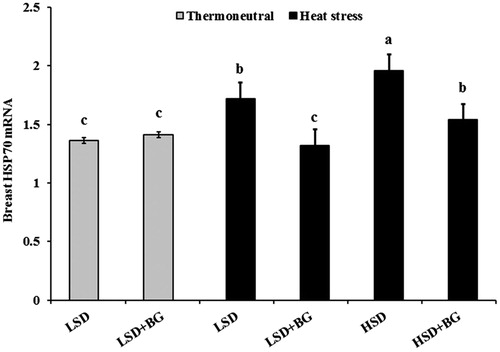 Figure 1. Effect of propolis and stocking density on heat shock protein 70 mRNA (HSP70) expression of chicken breast in heat-stressed broilers. Values are mean ± SE (n= 5). Within the graph, bars with different letters (a–c) are significantly different (p <.05). LSD: low stocking density (10 birds/m2), HSD: high stocking density (18 birds/m2), BG: basal diet + propolis (4 g/kg of feed)