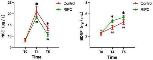 Figure 4 Changes in NSE and BDNF (mean ± SD) between the two groups. *P<0.001, vs the Control group. ##P<0.001, vs baseline in either group.