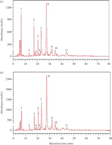 Fig. 3. Typical HPLC chromatograms of pigment composition of the 4-day-old WT (a) and MT 2877 (b) cultures under HL. 1: Lutein; 2: Canthaxanthin; 3: chlorophyll b; 6: chlorophyll a; 4–5, 7–10: Astaxanthin esters; 11 : β-carotene. The absorption spectra and retention time of each unidentified peak in WT and MT 2877 chromatograms were identical.