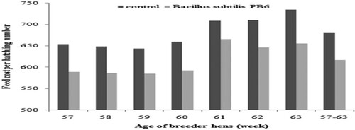 Figure 11. Effect of Bacillus subtilis PB6 supplementation on feed cost (US $) per hatchling number in broiler breeder hens.