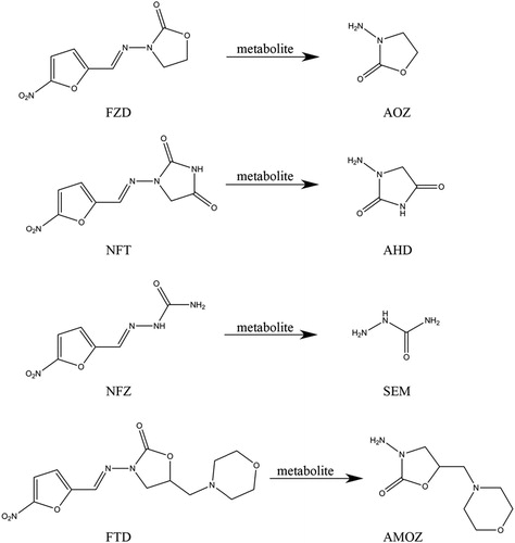 Figure 1. Structures of four kinds of nitrofurans and their metabolites.