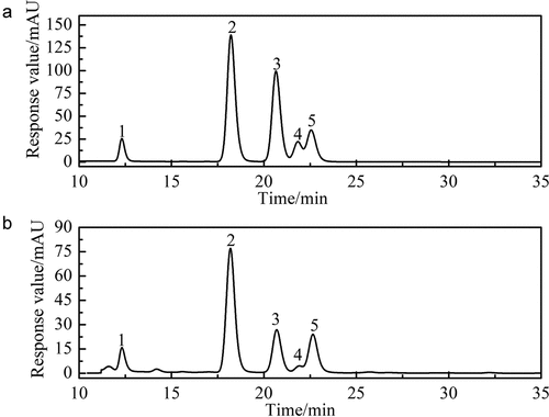 Figure 3. The HPLC chromatogram of monosaccharides of (A) reference substances solution and (B) monosaccharides composition of SLMPs.