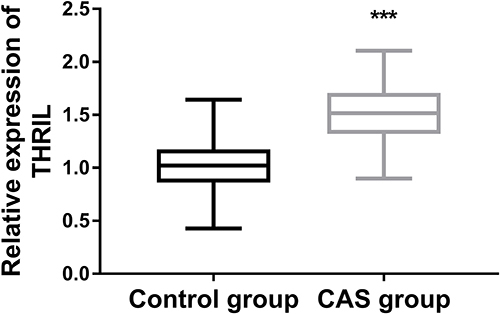 Figure 2 An enforced expression of THRIL in CAS patients. ***P < 0.001.