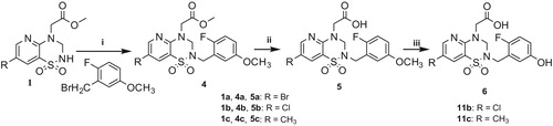 Scheme 2. Reagents and conditions: (i) K2CO3, CH3CN, 70 °C; (ii) NaOHaq., THF, then HClaq. and (iii) K2CO3, thiophenol, NMP, 150 °C.