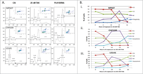 Figure 3. Inhibition of PLK1 by siRNA recapitulates the effect of TAK-960. (A) Cell cycle distribution and mitotic effect as determined by FACScan analysis in MPNST, CHP100 and LS141 cells treated with either 25 nM TAK-960 for 24 hours or control siRNA or PLK1 siRNA for 36 hours. (B) % of cells in G1 (2N), G2 (4N), mitosis (phospho MPM2), apoptosis (<2N) and polyploidy (>4N) population determined by flow cytometry analysis after probing for phospho MPM2, a mitotic marker, in all the 3 cell lines. (B) MPNST (i) and CHP100Citation15 and LS141 (iii) cells were exposed to 50 nM TAK-960, harvested at 0, 6, 18, 24, and 36 h and analyzed for its DNA content after staining with Propidium Iodide and mitotic population after phospho MPM2 staining by flow cytometry analysis. Results given are representative of 3 independent experiments.