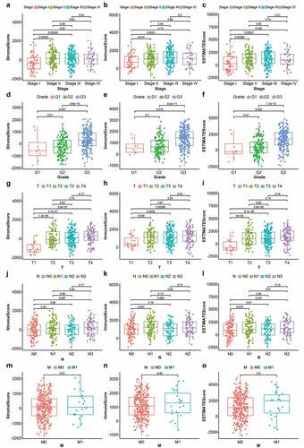 Figure 1. Box plots of correlation between ESTIMATE scores with clinicopathological staging characteristics. (2a, 2b, 2 c) StromalScore, ImmuneScore and ESTIMATEScore of STAD patients in each stage. (2d, 2e, 2 f) StromalScore, ImmuneScore and ESTIMATEScore of STAD patients in each grade. (2 g, 2 h, 2i) StromalScore, ImmuneScore and ESTIMATEScore of STAD patients in each tumor classification. (2 j, 2k, 2 l) StromalScore, ImmuneScore and ESTIMATEScore of STAD cases with or without lymph node metastasis. (2 m, 2 n, 2o) StromalScore, ImmuneScore and ESTIMATEScore of STAD cases with or without distant metastasis. P-values based on the Wilcoxon signed-rank test; p < 0.05 was statistically significant