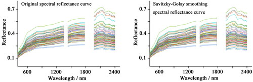 Figure 2. The original and Savitzky-Golay smoothing spectral reflectance curve of soil.