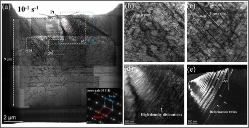 Figure 3. (a) Scanning transmission electron microscopy (STEM) dark-field image of the microstructure beneath the indent at the strain rate of 10−1 s−1; lower right inset shows the selected area diffraction pattern (SADP) of the area represented by the dashed red circle. The zone axis is [0 1 1]. Twin spots and streaking lines in SADP indicate the existence of deformation twins and stacking faults. (b), (c) and (d) are the magnified images of the regions denoted by dashed rectangles in (a), revealing the presence of dislocations and deformation twins beneath the indent. (e) TEM dark-field image of the region denoted by a dashed blue rectangle in (a), demonstrating the morphologies of deformation twins.