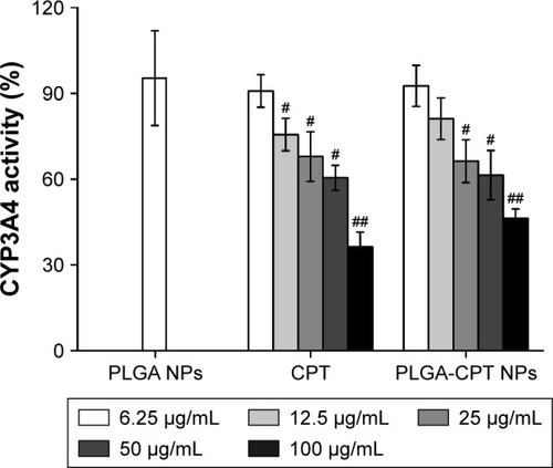 Figure 4 Effect of NPs on CYP3A4 activity in HepG2 cells.Notes: Results representative of six separate experiments; data expressed as mean±SD. ##P<0.01 and #P<0.05 when compared with PLGA NP group, respectively.Abbreviations: CYP3A4, cytochrome P450 enzyme; NP, nanoparticle; PLGA-CPT, camptothecin-encapsulated poly(lactic-co-glycolic acid).