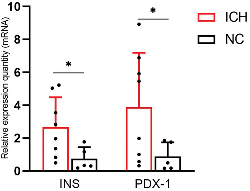 Figure 5. Comparison of relative quantity (RQ) of INS and PDX-1 mRNA of adult male offspring rats in ICH and NC groups (n = 8 for ICH and n = 5 for NC). RQ were used to reflect the relative quantity of the expression of INS and PDX-1 gene. Data are shown as mean and standard deviation. P-values were gained by using unpaired Student’s t-test. *p < 0.05. ICH: Intrauterine chronic hypoxia, NC: Normal control, INS: Insulin, PDX-1: Pancreatic and duodenal homeobox 1.