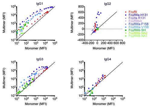 Figure 8. Avidity differentially modulates FcγR:antibody ligation among IgG subclasses and FcγR. Myeloma derived IgG1, IgG2, and IgG4 and pooled serum derived IgG3 were separated into monomeric and multimeric fractions by SEC. Across a range of matched concentrations, the ability of IgG monomer and multimer samples to bind FcγR was assessed.