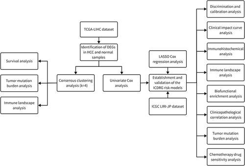 Figure 1 The flowchart of this study.