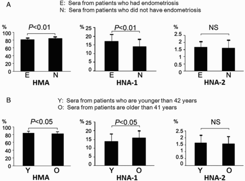 Figure 2.  A) The redox state of serum albumin from patients who had endometriosis. HMA and HNA-1 of sera from patients who had endometriosis were significantly shifted to the oxidative state compared to those without the disorder (HMA; P < 0.01, HNA-1; P < 0.01). Comparison of HNA-2 of sera showed that there was no significant difference between the two groups. B) The age of patients and the redox state of serum albumin. HMA and HNA-1 of patients whose age was 42 and older were significantly shifted to the oxidative state compared with women whose age was less than 42 years (HMA; P < 0.05, HNA-1; P < 0.05). HNA-2 of sera was not significantly different between the two groups. HMA: human mercaptalbumin; HNA: human nonmercaptalbumin.