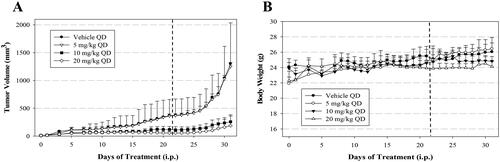 Figure 7. Tumour volume and body weight following treatment of human cancer A549 xenografts in mice with 3b. Indicated doses were administered daily up to day 21 (dashed line). Data are mean ± SEM.