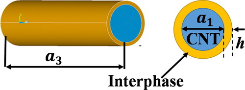 Figure 2. Single CNT with interphase layer thickness.