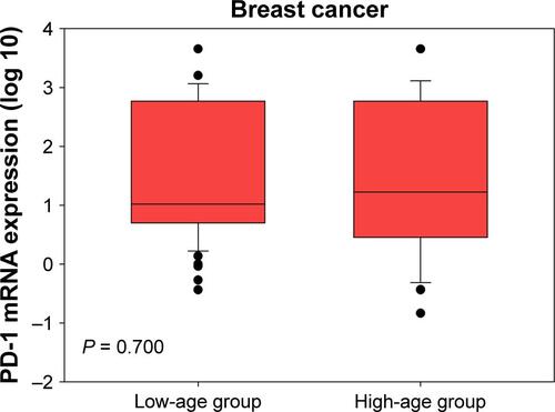 Figure S2 PD-1 expression in high-age group (age > median age) and low-age group (age ≤ median age) in breast cancer patients.Abbreviation: PD-1, programmed death 1.