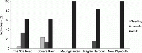 Figure 6  The population (life stage) structure of five North Island populations of Pittosporum cornifolium: The 309 Road (Coromandel), Square Kauri (Coromandel), Maungatautari (Waikato), Raglan Harbour (Waikato) and New Plymouth (Taranaki).
