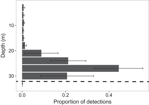 FIGURE 3. Mean (±2 SEs) proportion of detections across tagged Sablefish (n = 6) at 3-m depth increments in St. John Baptist Bay. Dashed line represents the greatest bottom depth within receiver range (32 m).