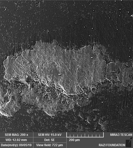 Figure 8. SEM image of alumina counterpart after 30m sliding.