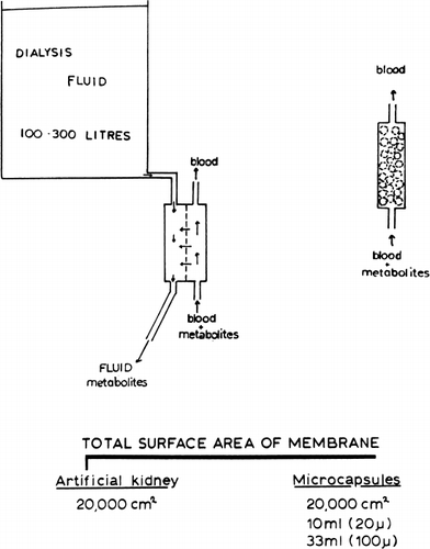 Figure 57. Schematic representation of principle of conventional artificial kidney (hemodialyzer) (left), and artificial cells for artificial kidney (right). (From Chang and Malave, 1970. Courtesy of the American Society for Artificial Internal Organs.)