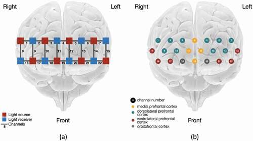 Figure 2. (a) Sensors placement and (b) prefrontal cortex (PFC) sub-regions monitored (Base of brain image copyright © Society for Neuroscience (2017)).