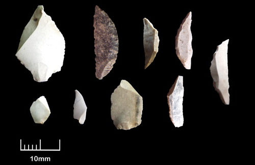 A selection of Epipalaeolithic stone tools and waste products from Barqa