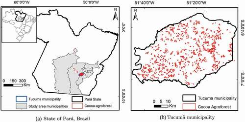 Figure 1. Study area municipalities in Brazil. The locations of the cocoa agroforest areas identified inside the Embrapa’s MapCacao project are shown in red.