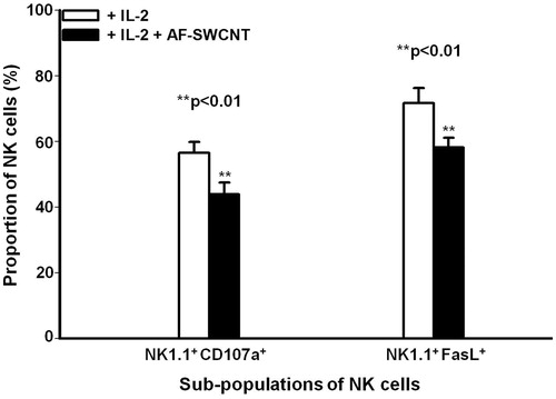 Figure 2. Effect of AF-SWCNT on IL-2-activated NK cell sub-populations in vitro. Mouse spleen cells (2 × 106/ml) were cultured with 500 U IL-2/ml in absence (□) or presence (▪) of 50 μg AF-SWCNT/ml. After 72 h, cells were washed and double-stained with a combination of antibodies against NK1.1 and CD107a markers or NK1.1 and FasL markers. Values shown are means ± SEM from four independent experiments. **p < 0.01 vs. AF-SWCNT untreated (Student’s t-test).