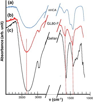 Figure 2 FTIR spectra of nCHA, GL80-F scaffold and gellan.