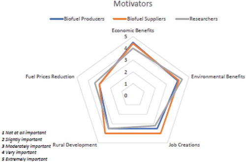 Figure 7. Most important motivators to take part in biofuels projects. Source: Authors’ own
