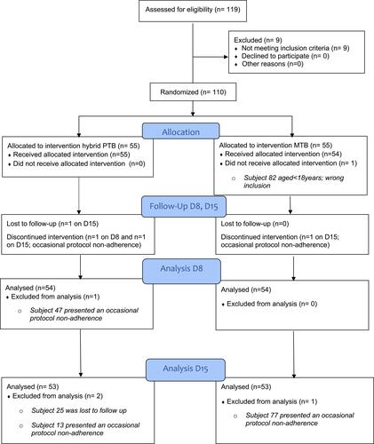 Figure 3 Flow chart.