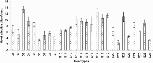 Figure 5. Number of effective tillers/plant of 27 blast-resistant genotypes. Each column represents mean with standard error of each genotype; n = 3. G1, Black Banni; G2, Blau Noc; G3, Chirikata 2; G4, Choke Tang; G5, Chokoto 14; G6, IPPA; G7, IR 3257-13-56; G8, IR 5533-13-1-1; G9, IR 5533-14-1-1; G10, IR 5533-15-1-1; G11, IR 5533-50-1-10; G12, IR 5533-55-1-11; G13, IR 5533-56-1-12; G14, IR 5533-PP 854-1; G15, IR 9559-3-1-1; G16, IR 9559-4-1-1; G17, IR 9559-PP 871-1; G18, IR 9669-22-2-6; G19, IR 9669-PP 823-1; G20, Ja Hau; G21, Ja No Naq; G22, C; G23, F1 seed (BR16 × Karingam); G24, BR26; G25, BRRI dhan42; G26, BRRI dhan43; G27, BRRI dhan48.