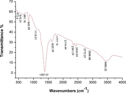 Figure 6 FTIR spectra of biogenic SNPs.Abbreviations: FTIR, Fourier-transform infrared; SNPs, silver nanoparticles.