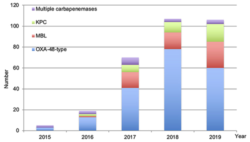 Figure 1 Carbapenemases evolution over time (2015–2019).