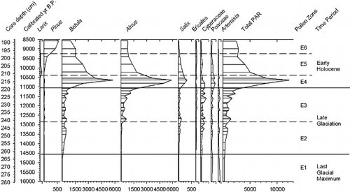 Figure 4 Total and select taxa pollen accumulation rates (PARs: grains cm−2 yr−1) for core E4-5. Note changes in scale.