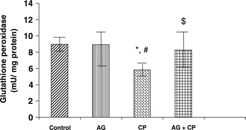 Figure 5. GPx activity in the kidneys of AG-treated rats and CP-treated rats. Data represent mean ± SD of 5–7 rats. *P < 0.05 vs. control, #P < 0.05 vs. AG, $P < 0.05 vs. CP.