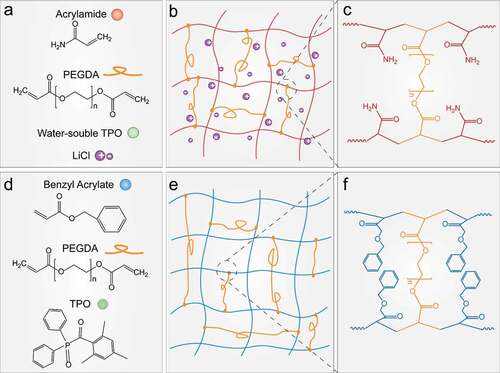Figure 2. Chemicals used to form stretchable hydrogel and elastomer. (a) Chemicals used to prepare acrylamide-PEGDA hydrogel. (b) Illustration of the ionically conductive hydrogel network. (c) The corresponding chemical structure at crosslinking point of the acrylamide-PEGDA hydrogel. (d) Chemicals used to prepare BA-PEGDA elastomer. (e) Illustration of the elastomer network. (c) The corresponding chemical structure at crosslinking of the BA-PEGDA elastomer