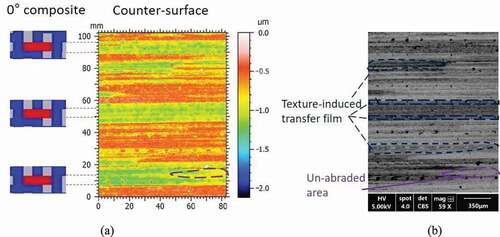 Figure 10. (a) Topographic image and (b) SEM image (BSE) of the counterface (initially smooth) half-way through the wear test with composite oriented at 0°.