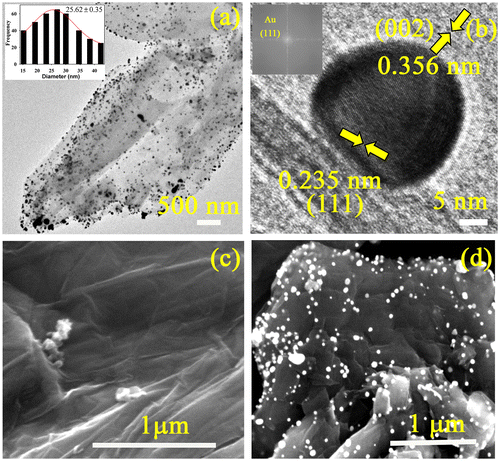 Figure 1. (a) TEM image of the as synthesized Au-RGO nanohybrids (inset shows size distribution of Au NPs). (b) HRTEM image of a Au NP attached to the RGO (inset shows FFT pattern of Au-RGO). SEM images of (c) RGO and (d) Au-RGO.