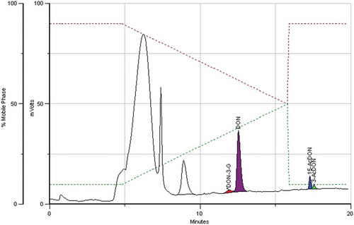 Figure 4. Chromatogram of a maize sample containing 17, 131, 23 and 10 μg kg−1 of DON-3-G, DON, 15-AcDON and 3-AcDON, respectively.