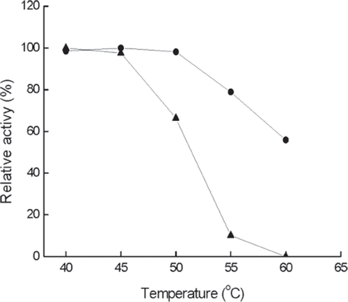 Figure 3. Thermal stability of immobilized (•) and free (▴) enzymes at different temperature and pH 6.5 for 24 h. The highest activity is referred to as 100%.