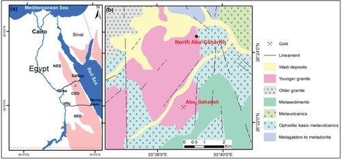 Figure 1. (a) Location of the study area within the CED of Egypt (red box). The Arabian–Nubian Shield is coloured in light red. (b) Geological map of the study area (after [Citation43]) showing the main lithological units.