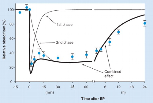 Figure 4. A model of two-component decrease in blood flow after EP.The total perfusion change (thicker line) observed in solid tumors after EP is modeled here as a sum of two simple biexponential functions with different time constants (thin lines). For comparison with experimental data, the data points for EP from Figure 2C and 2D are superimposed on the model. A more elaborate mathematical representation of the two components in the model would have to be used to fully describe the actual blood flow data, but the general adequacy of a two-phase model to describe the experimental data is obvious.EP: Electroporation.