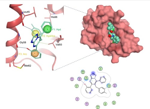 Figure 4 The docked ligand pose of S01 with the p53 binding site of the Mdm2 protein.